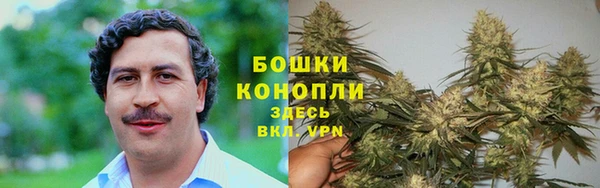 дмт Киреевск